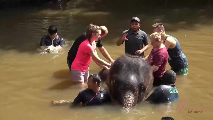 [ATKGirlfriends] - Elena Koshka's Epic Day Trip: Pissing, Smoking, and More - Elena Koshka