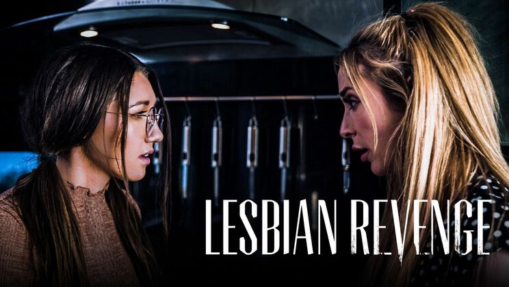 Envy of the Blonde in Lesbian Love Making