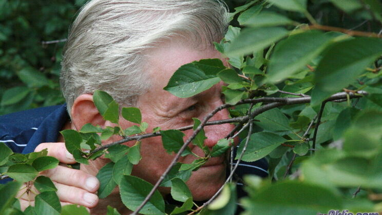 [Oldje] - Big Boobarella Blowjob