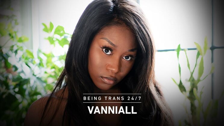 [Transfixed] - Vanniall's Interracial Shemale Extravaganza