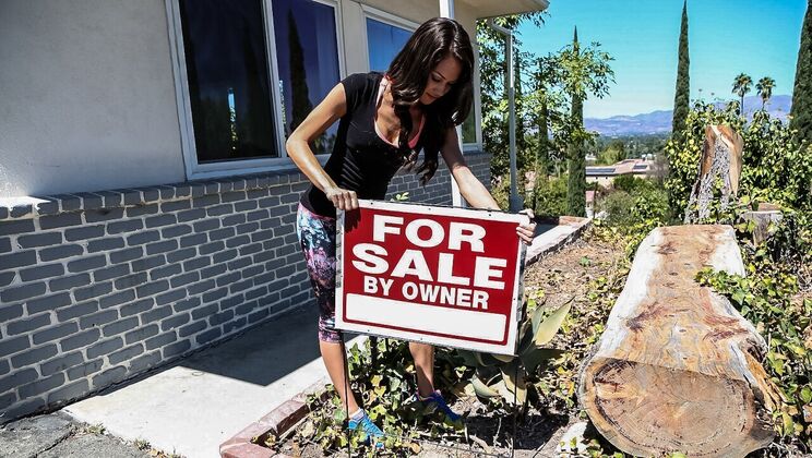 Latin Lady Owner's Sale