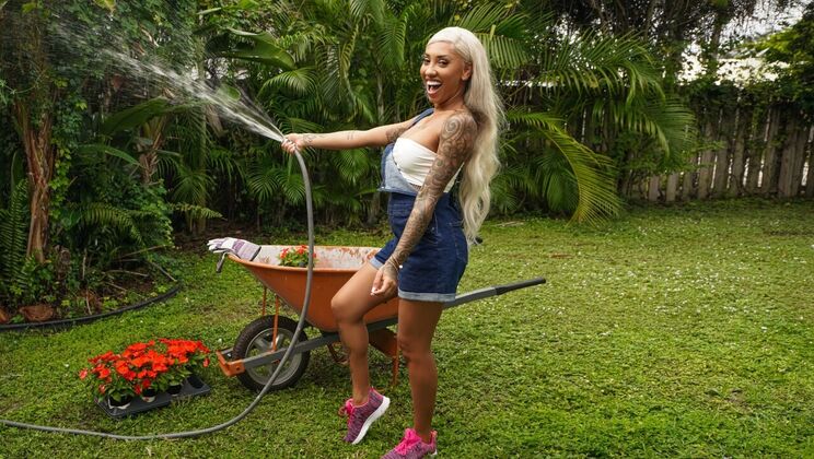 Outdoor Blowjob Fiesta